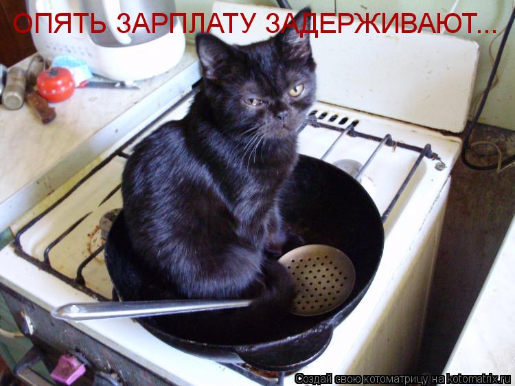 Котоматрица: ОПЯТЬ ЗАРПЛАТУ ЗАДЕРЖИВАЮТ...