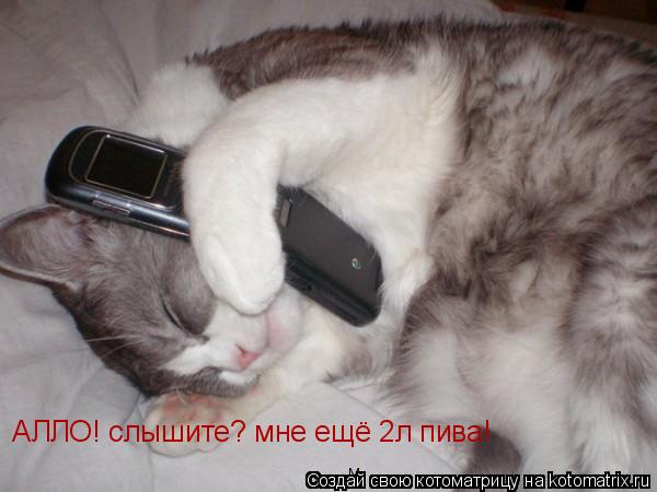 Котоматрица: АЛЛО! слышите? мне ещё 2л пива!