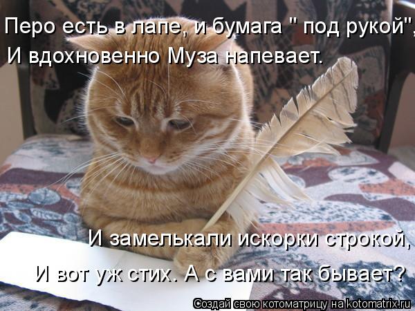 Перо есть в лапе, и бумага " под рукой", И вдохновенно Муза напевает. И замелькали искорки строкой, ... Котоматрица: Перо есть в лапе, и бумага " под рукой", И вдохновенно Муза напевает. И замелькали искорки строкой, И вот уж стих. А с вами так бывает?