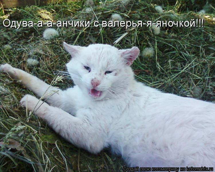 Котоматрица: Одува-а-а-анчики с валерья-я-яночкой!!!