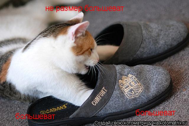 Котоматрица: не размер большеват    большеват    большеват