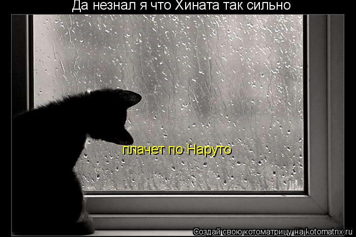 Да незнал я что Хината так сильно плачет по Наруто... Котоматрица: Да незнал я что Хината так сильно плачет по Наруто