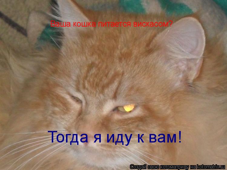 Котоматрица: Ваша кошка питается вискасом? Тогда я иду к вам!