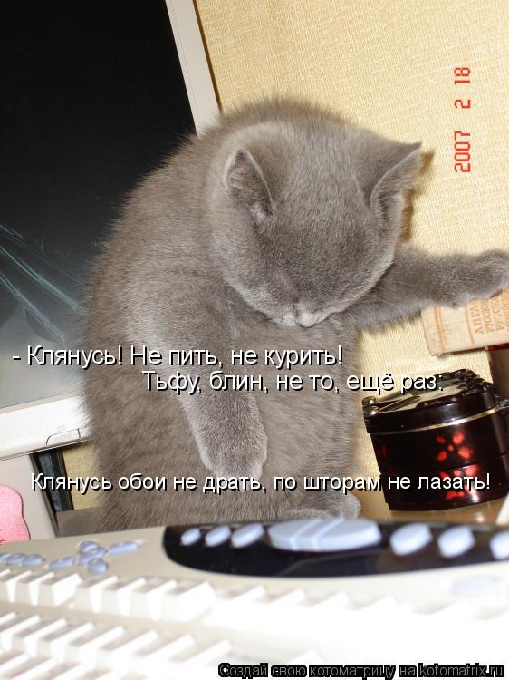 Котоматрица: - Клянусь! Не пить, не курить!   Тьфу, блин, не то, ещё раз: Клянусь обои не драть, по шторам не лазать!