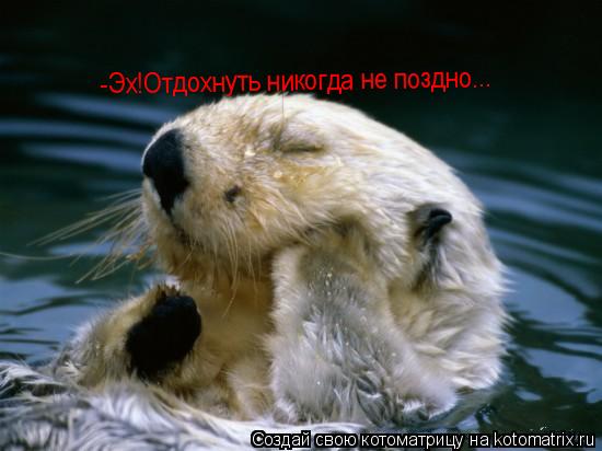 Котоматрица: -Эх!Отдохнуть никогда не поздно...