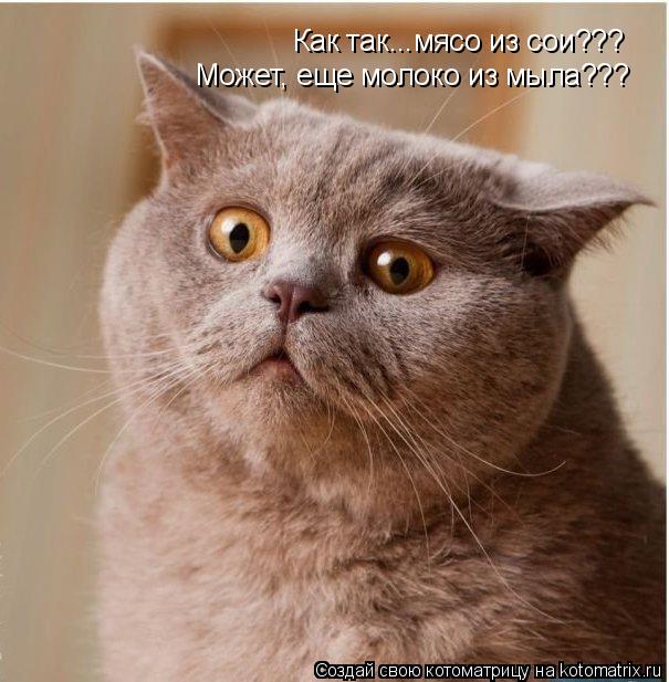 Котоматрица: Как так...мясо из сои??? Может, еще молоко из мыла???