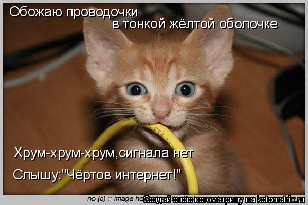Обожаю проводочки в тонкой жёлтой оболочке Хрум-хрум-хрум,сигнала нет Слышу:"Чёртов интернет!"... Котоматрица: Обожаю проводочки в тонкой жёлтой оболочке Хрум-хрум-хрум,сигнала нет Слышу:"Чёртов интернет!"