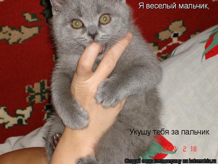 Я веселый мальчик, Укушу тебя за пальчик... Котоматрица: Я веселый мальчик, Укушу тебя за пальчик