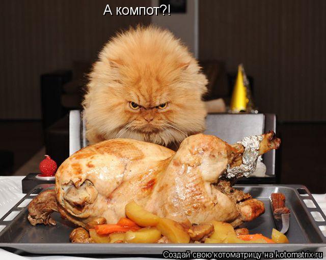 А компот?!... Котоматрица: А компот?!