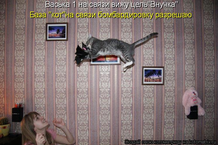 Васька 1 на связи вижу цель"Внучка" База "кот"на связи бомбардировку разрешаю... Котоматрица: Васька 1 на связи вижу цель"Внучка" База "кот"на связи бомбардировку разрешаю