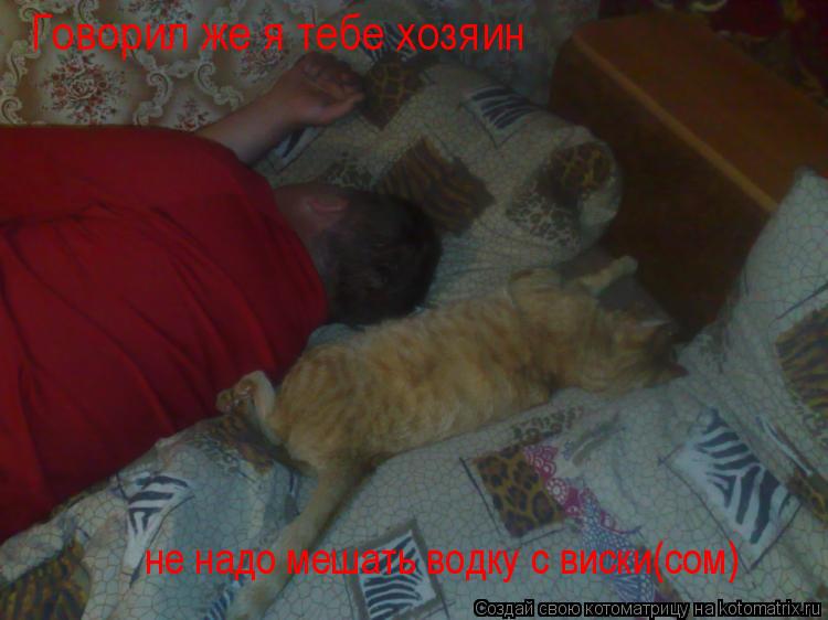 Котоматрица: Говорил же я тебе хозяин не надо мешать водку с виски(сом)