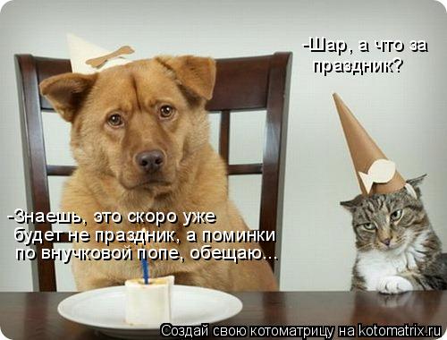 Котоматрица: -Шар, а что за праздник? -Знаешь, это скоро уже будет не праздник, а поминки по внучковой попе, обещаю...
