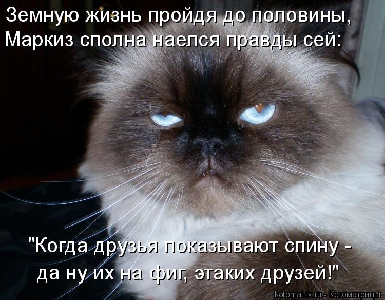 Котоматрица: Земную жизнь пройдя до половины,  "Когда друзья показывают спину -  да ну их на фиг, этаких друзей!" Маркиз сполна наелся правды сей: