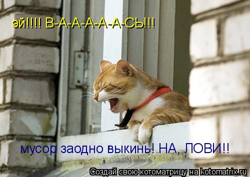Котоматрица: эй!!!! В-А-А-А-А-А-СЬ!!! мусор заодно выкинь! НА, ЛОВИ!!