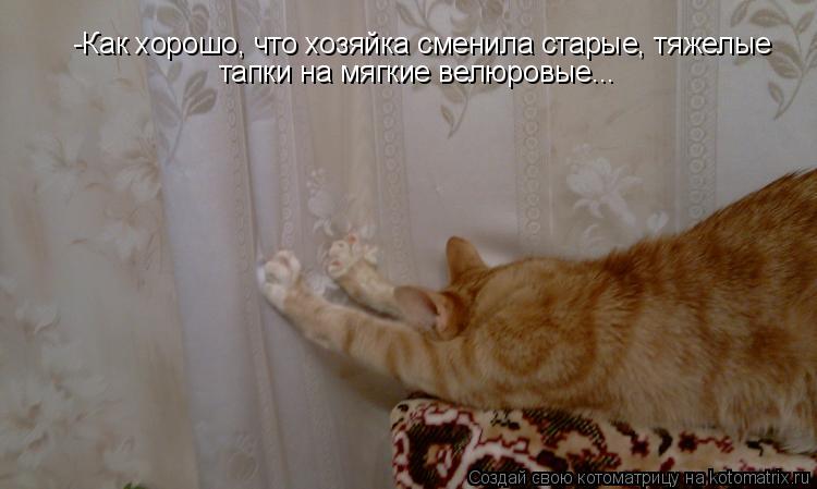 Котоматрица: -Как хорошо, что хозяйка сменила старые, тяжелые тапки на мягкие велюровые...