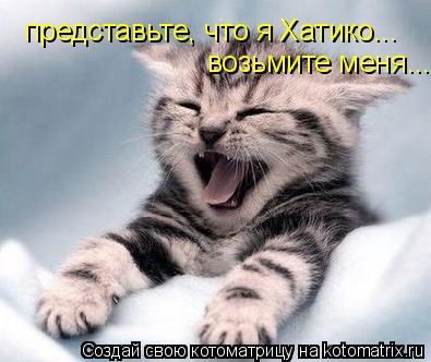 Котоматрица: представьте, что я Хатико... возьмите меня...