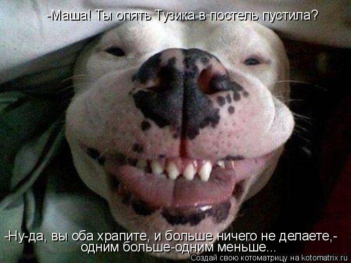 Котоматрица: -Маша! Ты опять Тузика в постель пустила? -Ну-да, вы оба храпите, и больше ничего не делаете,- одним больше-одним меньше...