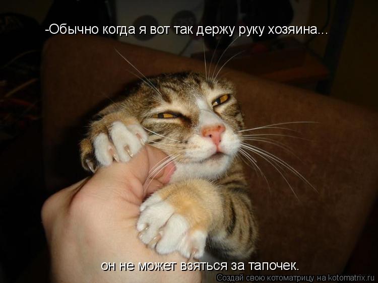 Котоматрица: -Обычно когда я вот так держу руку хозяина... он не может взяться за тапочек.
