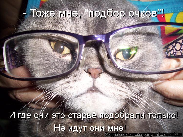 Котоматрица: - Тоже мне, "подбор очков"! И где они это старьё подобрали только! Не идут они мне!