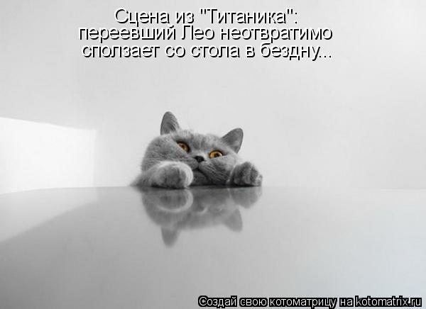 Котоматрица: Сцена из "Титаника": переевший Лео неотвратимо сползает со стола в бездну...