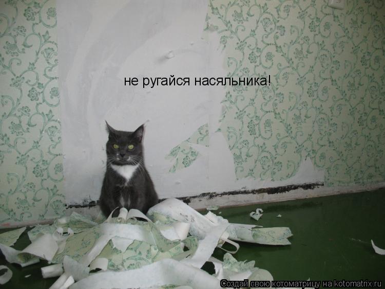 Котоматрица: не ругайся насяльника!