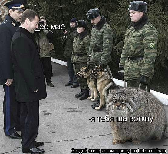 Котоматрица: _её маё  -я тебя ща воткну
