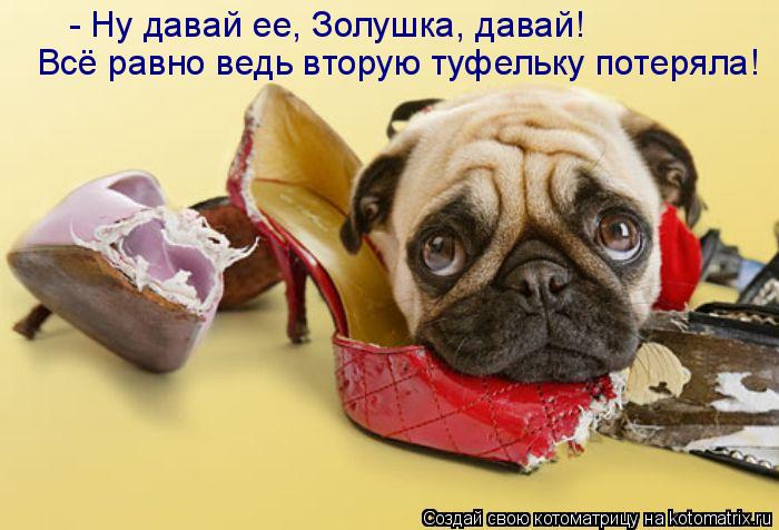 Котоматрица: Всё равно ведь вторую туфельку потеряла! - Ну давай ее, Золушка, давай!