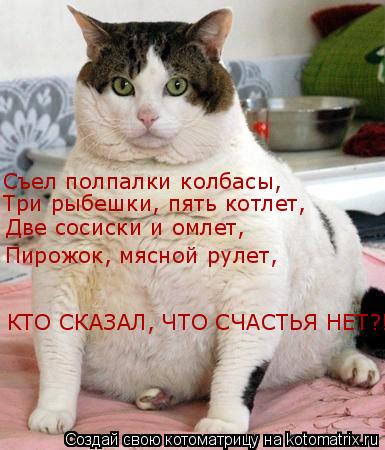 Котоматрица: Съел полпалки колбасы, Три рыбешки, пять котлет, Две сосиски и омлет, Пирожок, мясной рулет, КТО СКАЗАЛ, ЧТО СЧАСТЬЯ НЕТ?!!