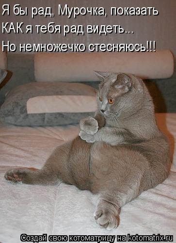 Я бы рад, Мурочка, показать КАК я тебя рад видеть... Но немножечко стесняюсь!!!... Котоматрица: Я бы рад, Мурочка, показать КАК я тебя рад видеть... Но немножечко стесняюсь!!!