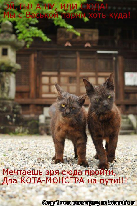 Котоматрица: ЭЙ,ТЫ! А НУ, ИДИ СЮДА! Мы с Васькой парни хоть куда! Мечтаешь зря сюда пройти, Два КОТА-МОНСТРА на пути!!!