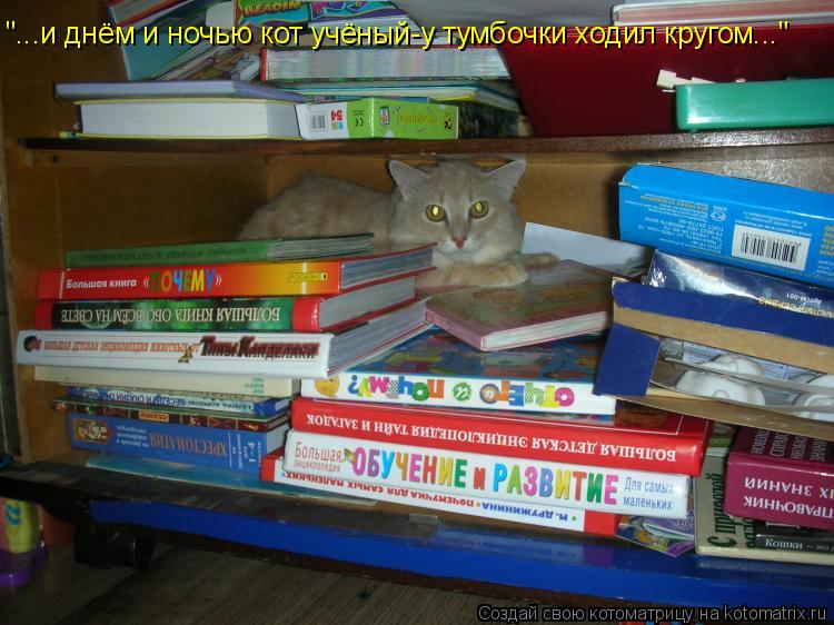 Котоматрица: "...и днём и ночью кот учёный-у тумбочки ходил кругом..."