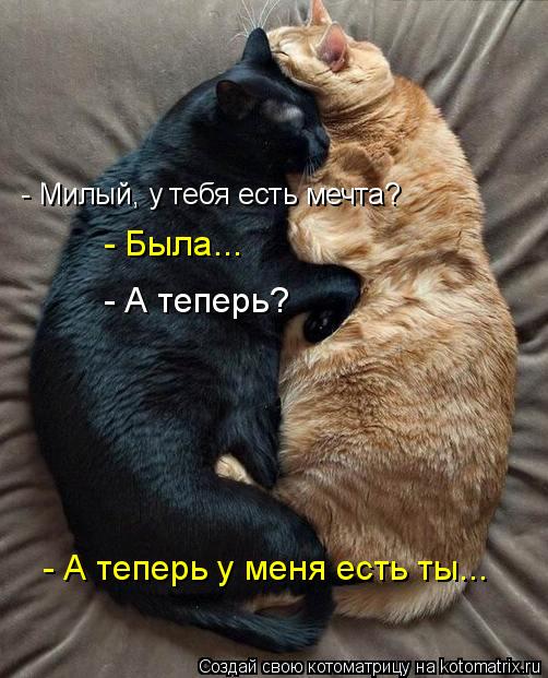 Котоматрица: - Милый, у тебя есть мечта?  - Была... - А теперь у меня есть ты... - А теперь?