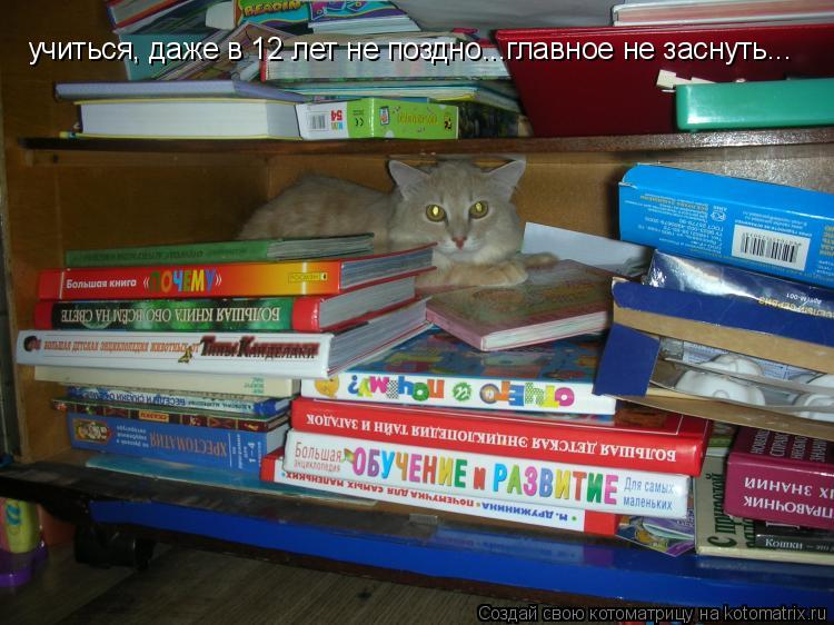Котоматрица: учиться, даже в 12 лет не поздно...главное не заснуть...