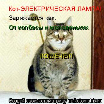 Котоматрица: Кот-ЭЛЕКТРИЧЕСКАЯ ЛАМПА! Заряжается как: От колбасы и молоденьких КОШЕЧЕК!