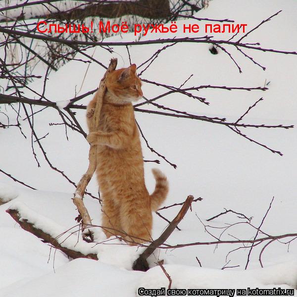 Котоматрица: Слышь! Моё ружьё не палит