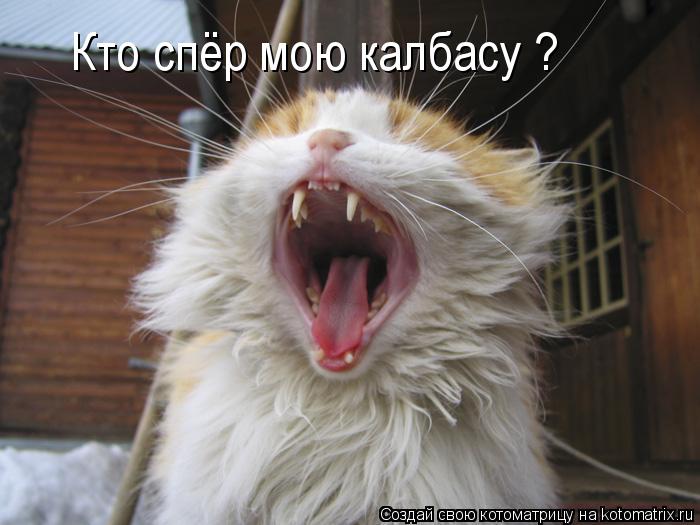 Котоматрица: Кто спёр мою калбасу ?