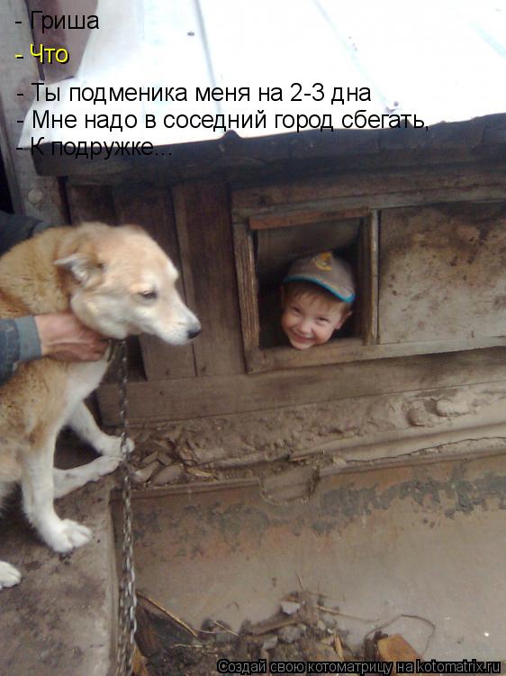 Котоматрица: - Гриша  - Что - Ты подменика меня на 2-3 дна  - Мне надо в соседний город сбегать,  - К подружке...