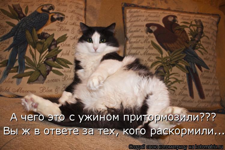 А чего это с ужином притормозили??? Вы ж в ответе за тех, кого раскормили...... Котоматрица: А чего это с ужином притормозили??? Вы ж в ответе за тех, кого раскормили...