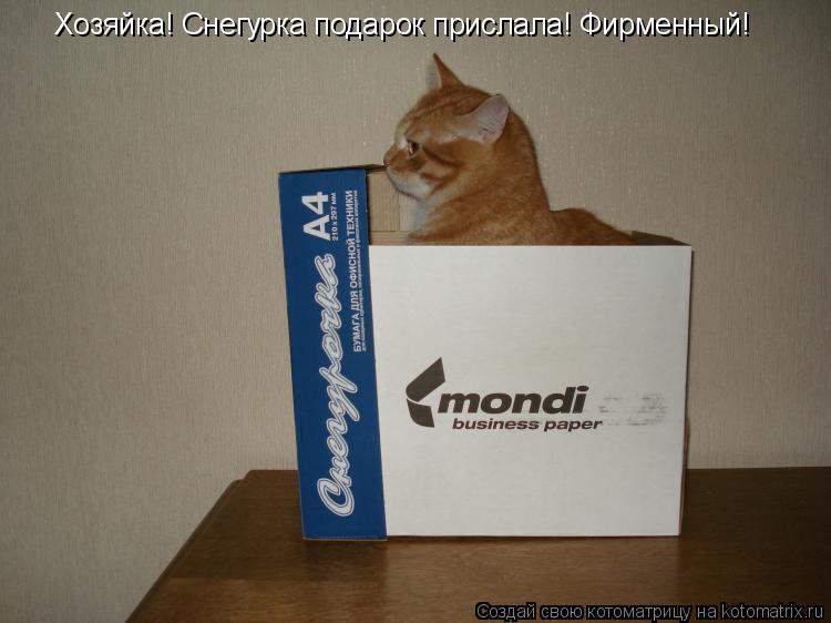 Котоматрица: Хозяйка! Снегурка подарок прислала! Фирменный!