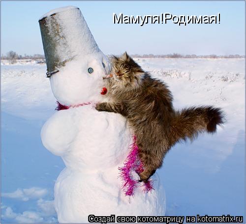 Котоматрица: Мамуля!Родимая!