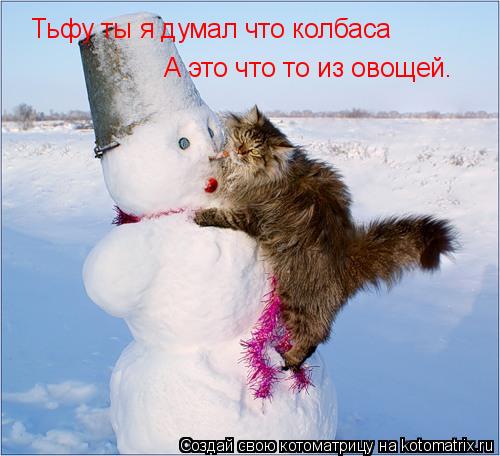 Тьфу ты я думал что колбаса А это что то из овощей.... Котоматрица: Тьфу ты я думал что колбаса А это что то из овощей.