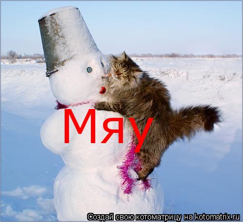 Мяу... Котоматрица: Мяу
