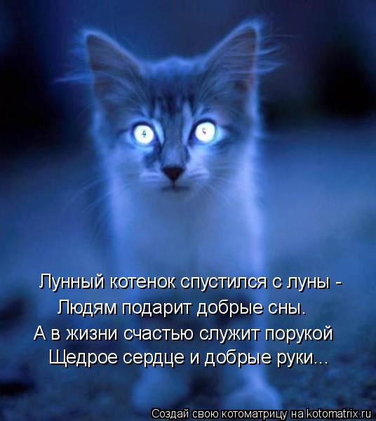 Котоматрица: Людям подарит добрые сны. А в жизни счастью служит порукой Щедрое сердце и добрые руки... Лунный котенок спустился с луны -
