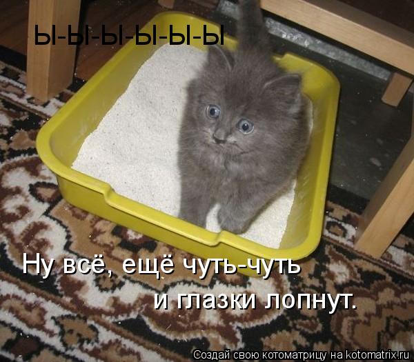 Ы-Ы-Ы-Ы-Ы-Ы Ну всё, ещё чуть-чуть и глазки лопнут.... Котоматрица: Ы-Ы-Ы-Ы-Ы-Ы Ну всё, ещё чуть-чуть и глазки лопнут.