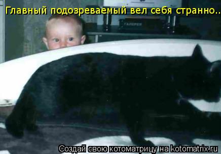 Главный подозреваемый вел себя странно...... Котоматрица: Главный подозреваемый вел себя странно...