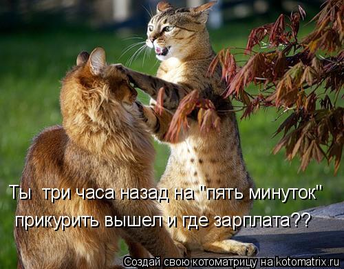 Котоматрица: Ты  три часа назад на "пять минуток"  прикурить вышел и где зарплата??