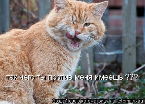 Котоматрица: так чего ты против меня имеешь ???