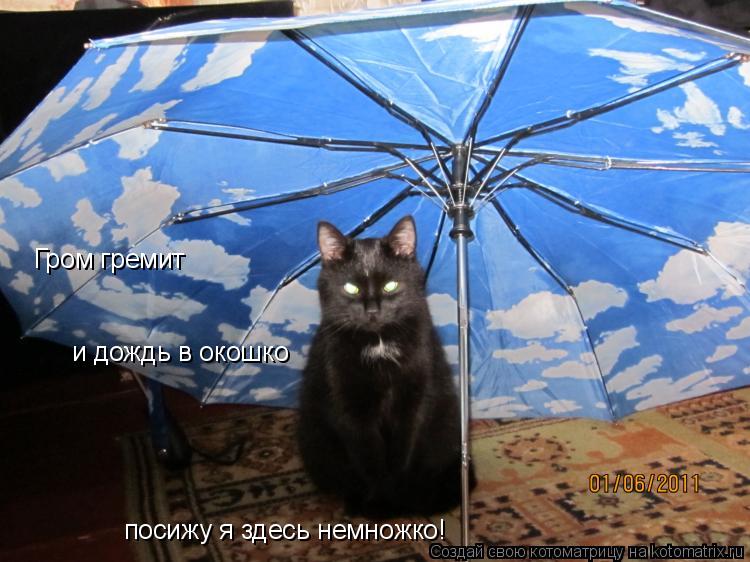 Котоматрица: Гром гремит и дождь в окошко посижу я здесь немножко!