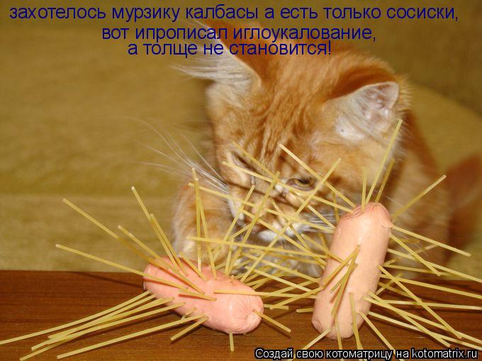 Котоматрица: захотелось мурзику калбасы а есть только сосиски, вот ипрописал иглоукалование, а толще не становится!