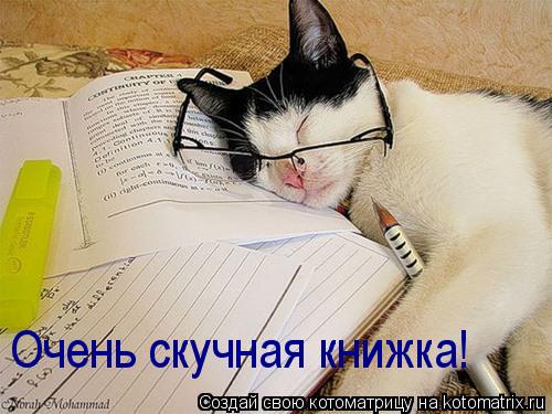 Котоматрица: Очень скучная книжка!